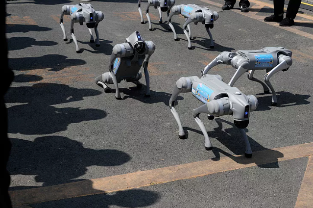 Des robots quadrupèdes se produisent avant la cérémonie de remise des prix du Semi-Marathon de Robots Humanoïdes qui se tient à Pékin le samedi 19 avril 2025.